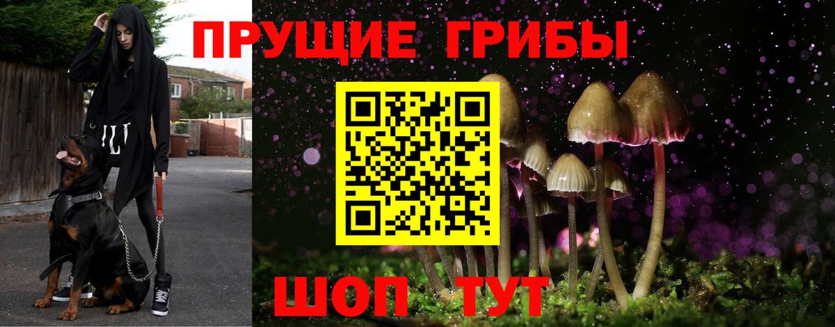 купить наркотики цена  Вход с VPN  Энгельс  Псилоцибиновые грибы ЛСД 