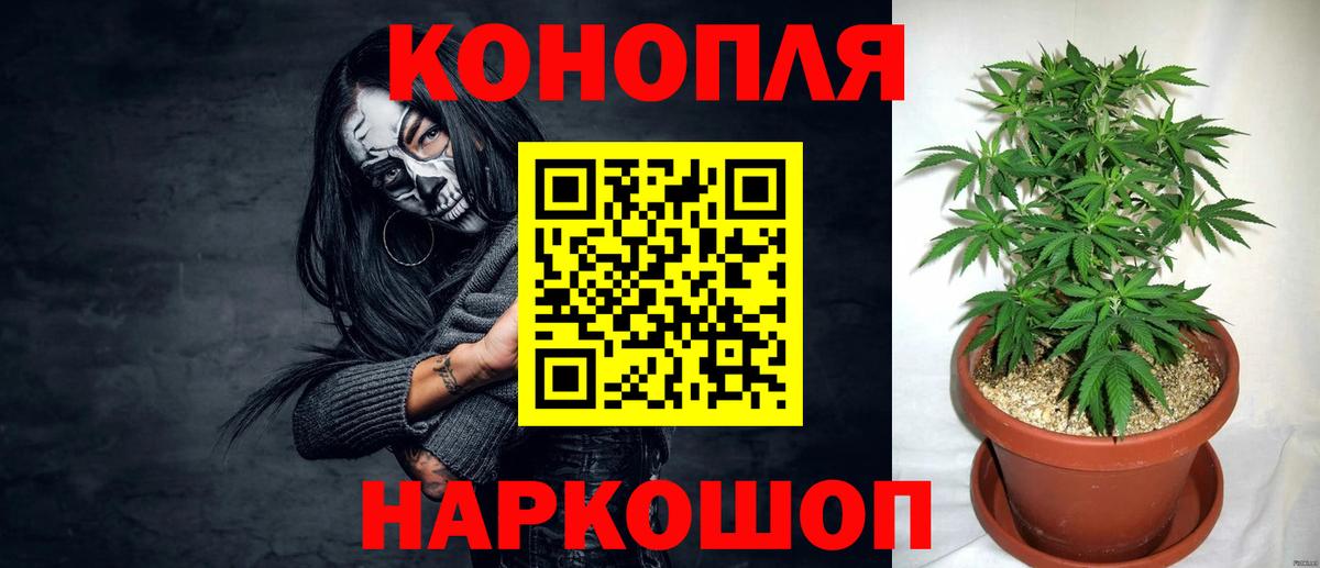 Марихуана марихуана Энгельс